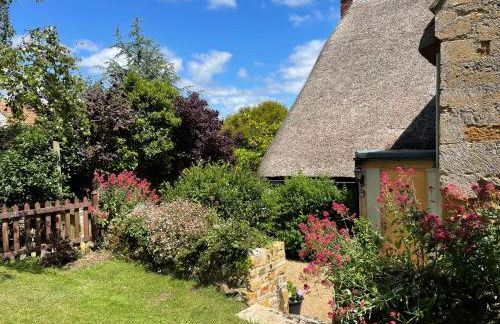 The Burrow - Photo 17