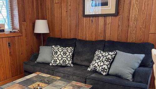 Stay In Ohiopyle near everything including the trail, Ohiopyle PA - Foto 4