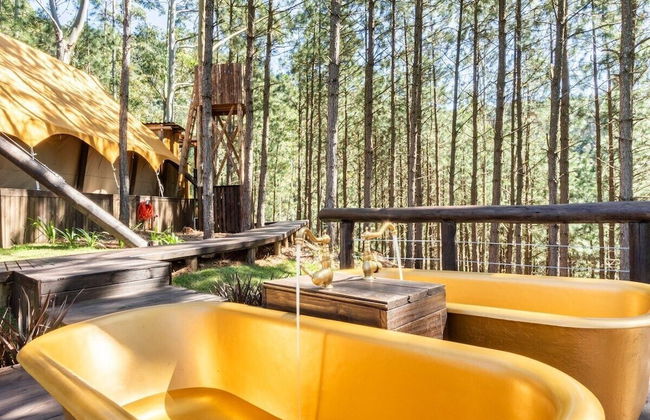 Recanto das Águas - Anitápolis - SC - Photo 50