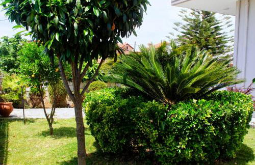 Amalias Place - Foto 54