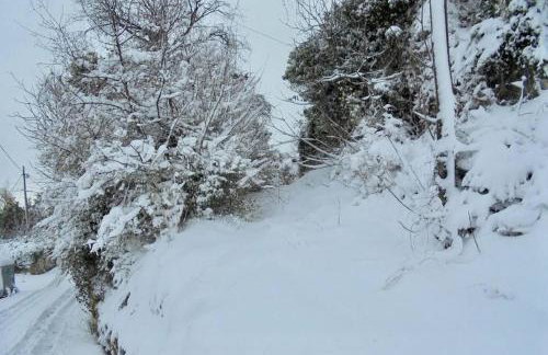 Periklis Guesthouse Anavriti. - Foto 39