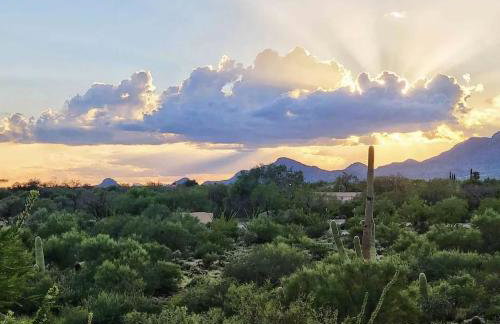 Luxury 3BD 2BA Home Near Tucson with Desert Views - Foto 39