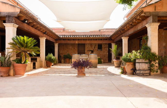 Visitar Bodegas Angel com Degustação de Vinhos - Foto 6