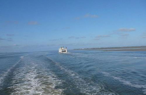 Sperlingslust - Photo 14