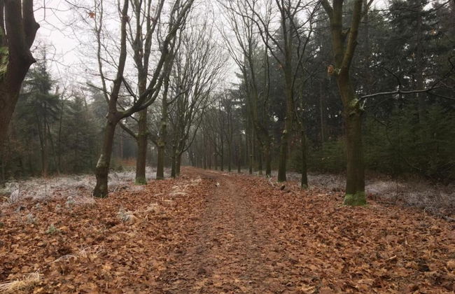 Cottage in Leenderbos Near Nature Reserve - Photo 32