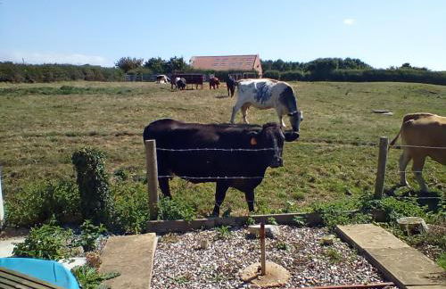 Buckton House Holiday Cottages - Foto 74