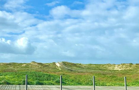 Sea, Surf and Sun - Foto 33