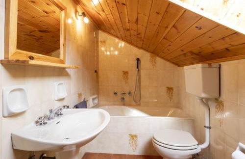 Apartment Oga Mountain Home by Interhome - Photo 24