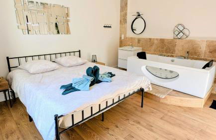 T3 Nature et Balnéothérapie - Photo 17