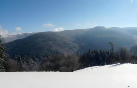 Reesbauernhof - Fewo Abendrot - Foto 12