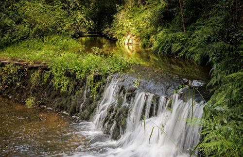 Be&See in River - Foto 28