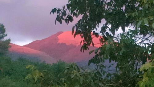 Umbria Valnerina , Il TARTUFFO, sulla via di Francesco - Foto 3