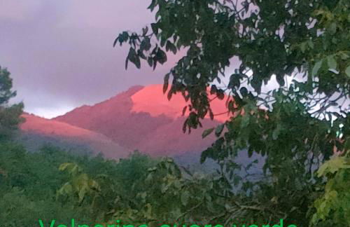 Umbria Valnerina , Il TARTUFFO, sulla via di Francesco - Photo 3