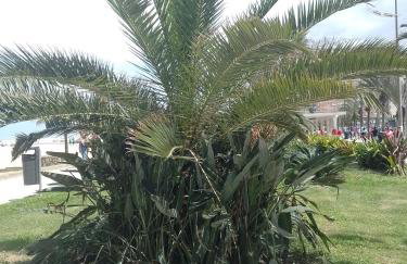 Apartamento na Praia Grande - Guilhermina - Ótima Localização - Photo 33