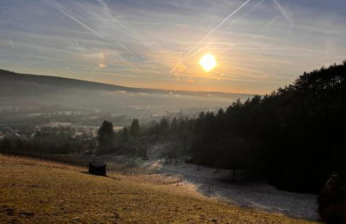 Ferienhaus Weinbergblick - nahe Würzburg - 2 Schlafzimmer - Familienfreundlich - Terrasse - Foto 54