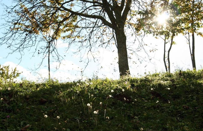 Agriturismo Florandonole - Foto 48