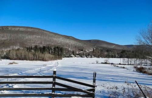 Upscale Rustic Cabin Surrounded by Spacious Pennsylvania Countryside near Pine Creek Gorge - Foto 21