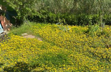 Villa Antonella - Foto 24