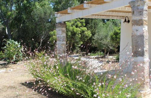 Trullo Le Macchie - Foto 7