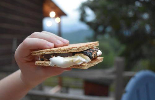 East Tennessee Family Mountain Retreat with Private Vineyard - Photo 20