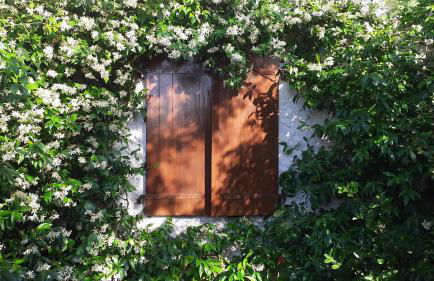 Gatti di Langa - Foto 19