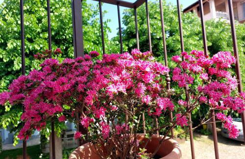 La Buschera - Foto 25