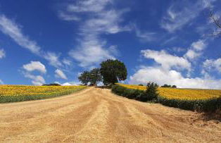 L'Isola Che Non C'era - Foto 7