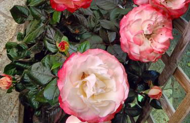 Lavish Holiday Home in Playa Blanca With Pool & Seabeach Nearby - Photo 74