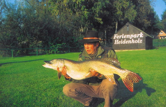 Seepark Heidenholz, Plau am See - Foto 71