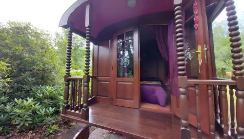 La roulotte d'alany - Foto 2