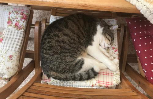 CASA San Gallo - Foto 24