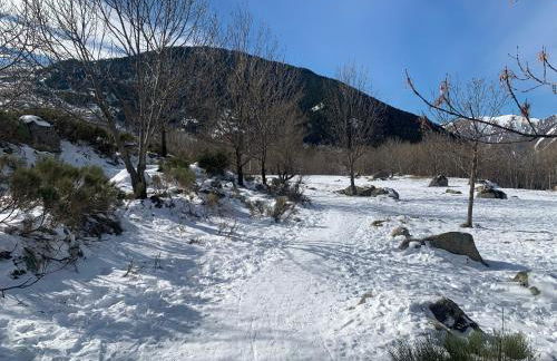 Allotjament SV - Foto 23