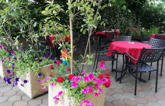 Agritur Girasole - Foto 30