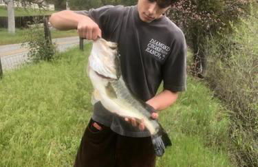 La Dolce Villa Pond Retreat in Yosemite - Foto 10