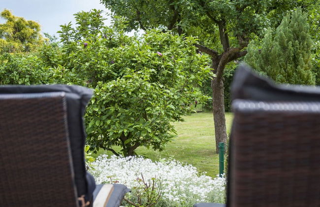 Elbwiesenhaus Modern Retreat - Foto 30