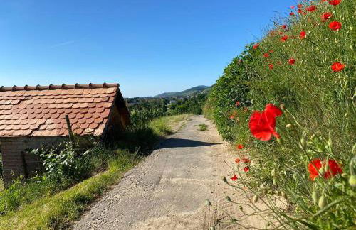 Acapella Suite Adagio 54qm, direkt am Weinberg, Altstadt, Netflix inklusive - Foto 30