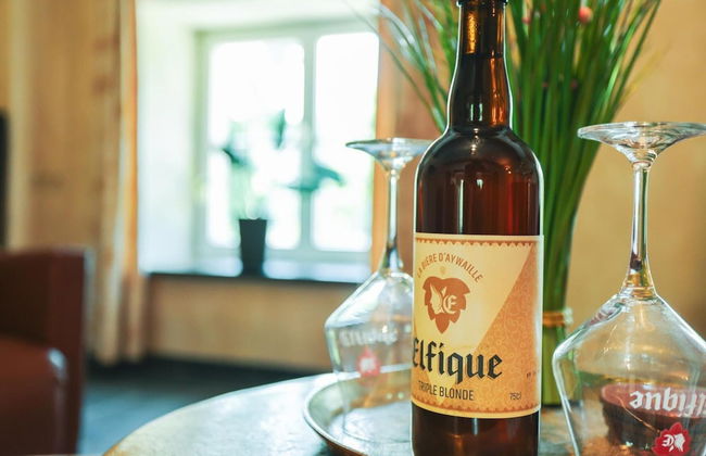 Castle Apartment Aywaille Near River Ambleve - Photo 17