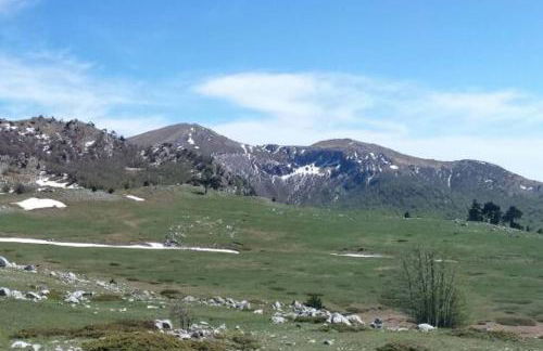 Tana di Zia Nature, Yourself, Love - Foto 38