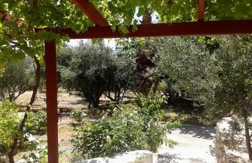 Sunrise Apartments - Photo 47