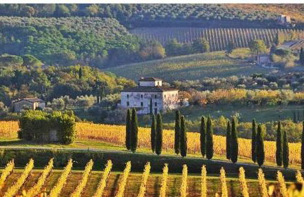 House with a view in Tuscany - Foto 47