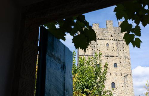 Castello di Porciano - Casa Scaletta - Foto 17