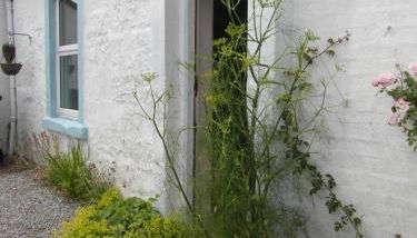 Beachcombers - Foto 3