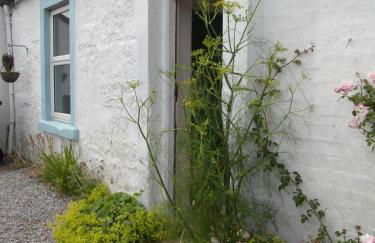 Beachcombers - Foto 3