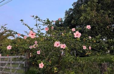 Osório Casa Rústica na Lagoa para 5 pessoas 2 quartos 250 metros da lagoabanhável 15 min da praia wiFi natureza tranquilidade - Foto 54