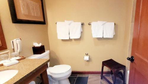 Dav's Slopeside King Studio -- Resort & Spa at Everline - Foto 4