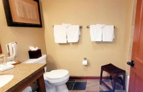 Dav's Slopeside King Studio -- Resort & Spa at Everline - Foto 4