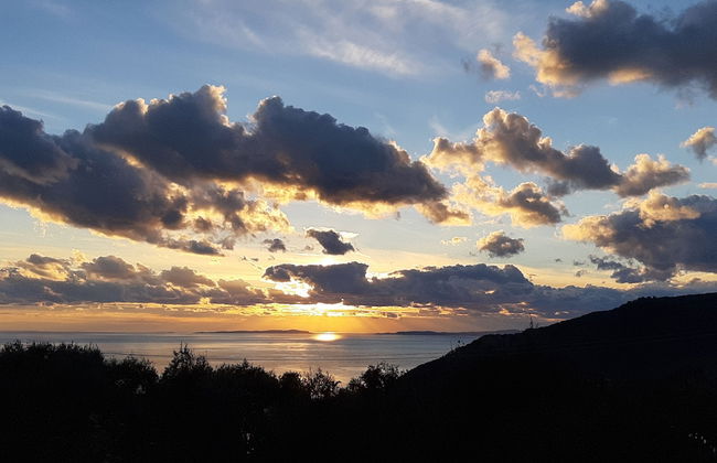 Olive Tree Apartment - Foto 79