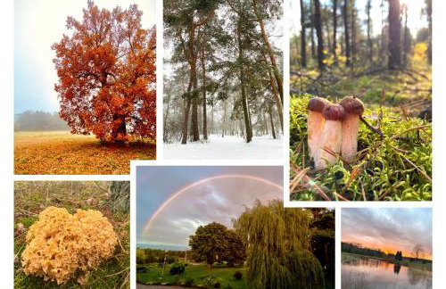 Gospodarstwo Agroturystyczne Zasadkowe Bory - Foto 40