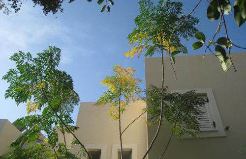 Avia Holiday Homes - Photo 40