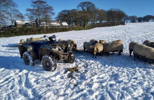 Fentrigan Manor Farm & Holiday Cottages - Foto 62